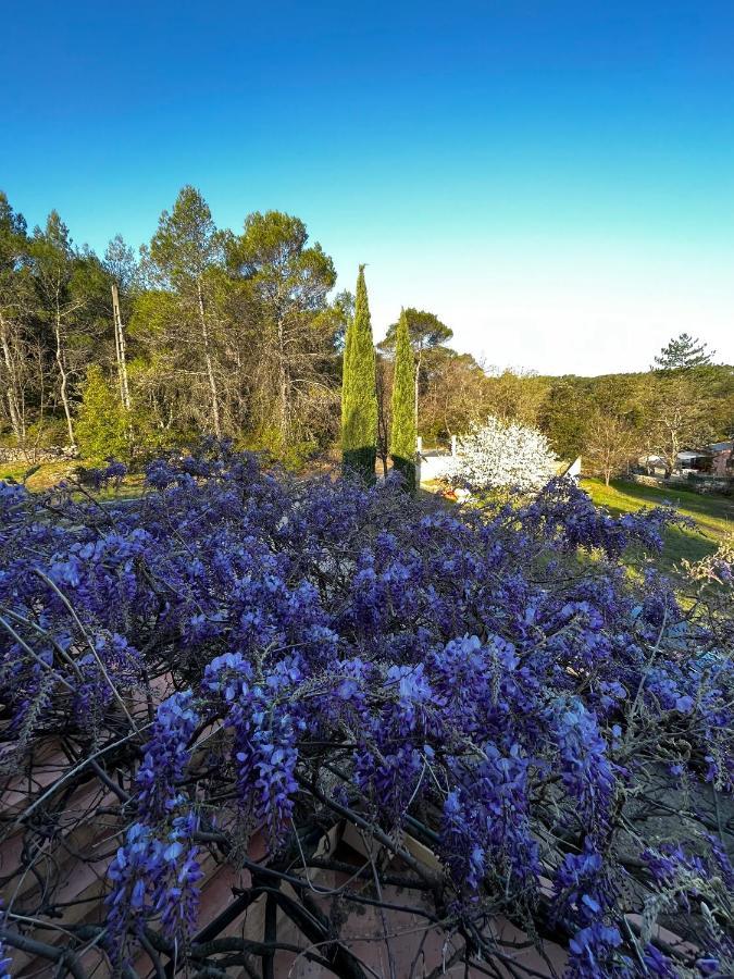 Natur & Jasmin Chambres D'Hotes Naturistes En Provence Лорґ Екстер'єр фото